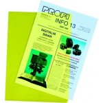 Herlitz Obal L A4 čirý pomerančový povrch žlutý – Hledejceny.cz