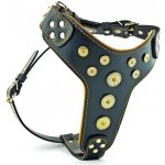 Bestia Collars Postroj pro psa Bestia Collar Bijou – Hledejceny.cz