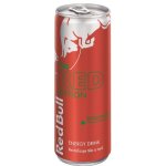 Red Bull Red Watermelon 250 ml – Zboží Dáma