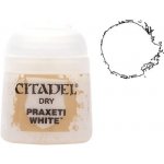 GW Citadel Dry: Praxeti White 12ml – Zboží Živě
