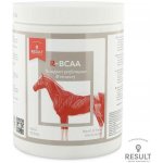 RESULT EQUINE R BCAA 0,9 kg – Hledejceny.cz