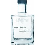 Godet Antarctica 40% 0,5 l (karton) – Zboží Dáma