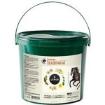 Leros Zažívání Horse 1 kg – Zboží Dáma