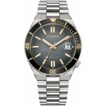 Citizen NJ0238-57E – Hledejceny.cz