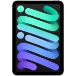 Apple iPad mini (2024) 128GB Wi-Fi + Cellular Space Gray MXPN3HC/A – Zboží Živě