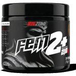 Big Zone Fem2+ 210 g Lesní plody – Hledejceny.cz