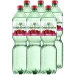 Ondrášovka malina 6 x 1,5 l – Hledejceny.cz