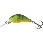 SALMO Hornet Potápivý 2,5cm Holografic Grey Shiner – Hledejceny.cz