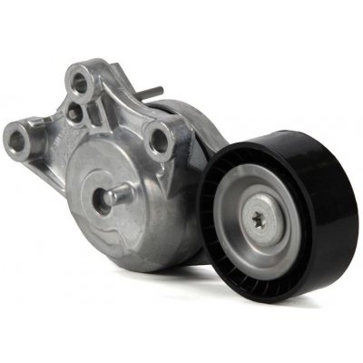 Napínací kladka řemene alternátoru Citroen Jumpy, Expert od 2016 1,6 BlueHDi spodní 1631481480 | Zboží Auto