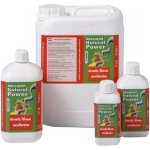 Advanced Hydroponics Growth/Bloom Excellerator 1 l – Hledejceny.cz