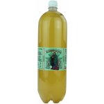 Stevikom Kombucha Green Tea 2 l – Sleviste.cz