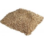 Travní směs Sport hobby Exclusive 5 kg – Sleviste.cz