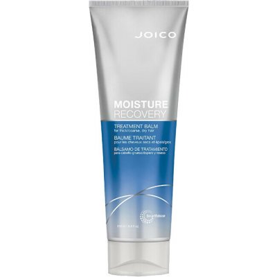 Joico Intenzivní balzám na suché vlasy Moisture Recovery (Treatment Balm) 250 ml – Hledejceny.cz