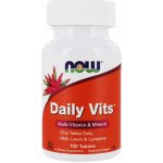 Now Foods NOW Multi Vitamins Hi Quality Daily Vits 100 tablet – Hledejceny.cz