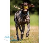 Trixie Míč plovoucí na šňůrce 4,5 cm/35 cm – Zboží Dáma