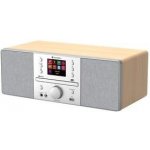 GoGEN IR 267BT-DAB – Zboží Živě
