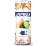Amundsen Mule vodka & zázvor & limeta & soda 6% 0,25 l (plech) – Zboží Dáma