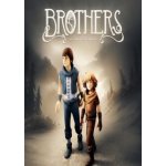 Brothers - A Tale of Two Sons – Hledejceny.cz