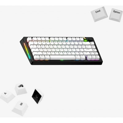 Glorious Gaming GPBT Keycaps White - US Layout GLO-KB-ACC-KC-GPBT-BA-CWHT-US – Zboží Živě