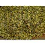 Bylinná lékárna Smil písečný květ řezaný Helichrysum arenarium 50 g – Zboží Mobilmania