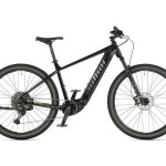 Author Elevation 2025 – Sleviste.cz