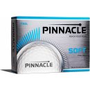  Pinnacle Soft