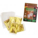 Kinoki Detoxikační náplasti Zázvor + Sůl 10 ks – Zboží Mobilmania