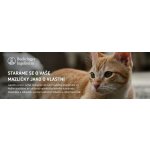 Frontline Spot-On Cat 1 x 0,5 ml – HobbyKompas.cz