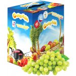 Ovocňák hroznový mošt 3L – Zboží Dáma