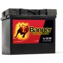 Banner Starting Bull 12V 30Ah 300A 530 30