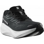 Salomon Aero Glide 4 W L49151200 black/white/ftw silver – Zboží Dáma
