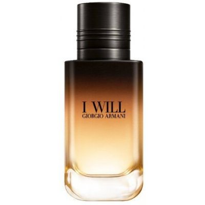 Giorgio Armani I Will parfémovaná voda pánská 60 ml – Hledejceny.cz