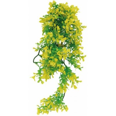 Lucky Reptile Bacopa 40 cm – Zboží Dáma