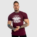 Force fitness tričko Iron Aesthetics bordové – Hledejceny.cz