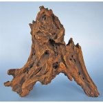 Macenauer Mangroven-Wurzel XL 80-90 cm – Zboží Dáma