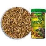 Tropical Meal Worms 100 ml – Zboží Mobilmania