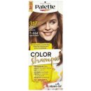 Barva na vlasy Pallete Color Shampoo Oříškově plavá 317