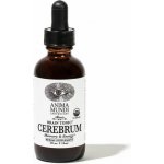 Anima Mundi Cerebrum Brain Adaptogenní tonikum 59 ml – Hledejceny.cz