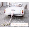 Svatební autodekorace PartyDeco Svatební výzdoba na auto s plechovkami