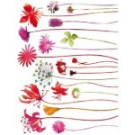 Ag Design AGF00444 samolepící dekorace Red flowers F 0444 Květiny rozměry 65 x 85 cm – Sleviste.cz