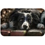 Zolux Podložka pro psy pod misku pejsci L – Zboží Mobilmania