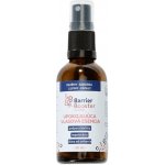 Kvitok BB Barrier Booster Zklidňující vlasová esence 50 ml – Hledejceny.cz