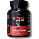 Hrotlife Polyporus 90 kapslí – Hledejceny.cz
