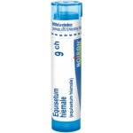 EQUISETUM HIEMALE POR 9CH GRA 1X4G – Hledejceny.cz