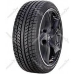 Tigar Cargo Speed Winter 225/70 R15 112R – Hledejceny.cz