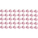 Akko Stellar Rose 45 ks – Zboží Živě