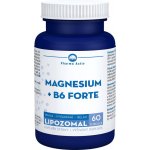 Pharma Activ Magnesium + B6 forte 60 tobolek – Hledejceny.cz