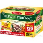 Terezia Hlíva s rakytníkovým olejem 120 kapslí + Vitamin C 500 mg 60 kapslí – Hledejceny.cz