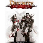Divinity: Original Sin (Enhanced Edition) – Hledejceny.cz