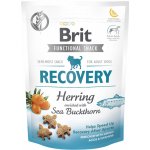 Brit snack Recovery herring & sea buckthorn 150 g